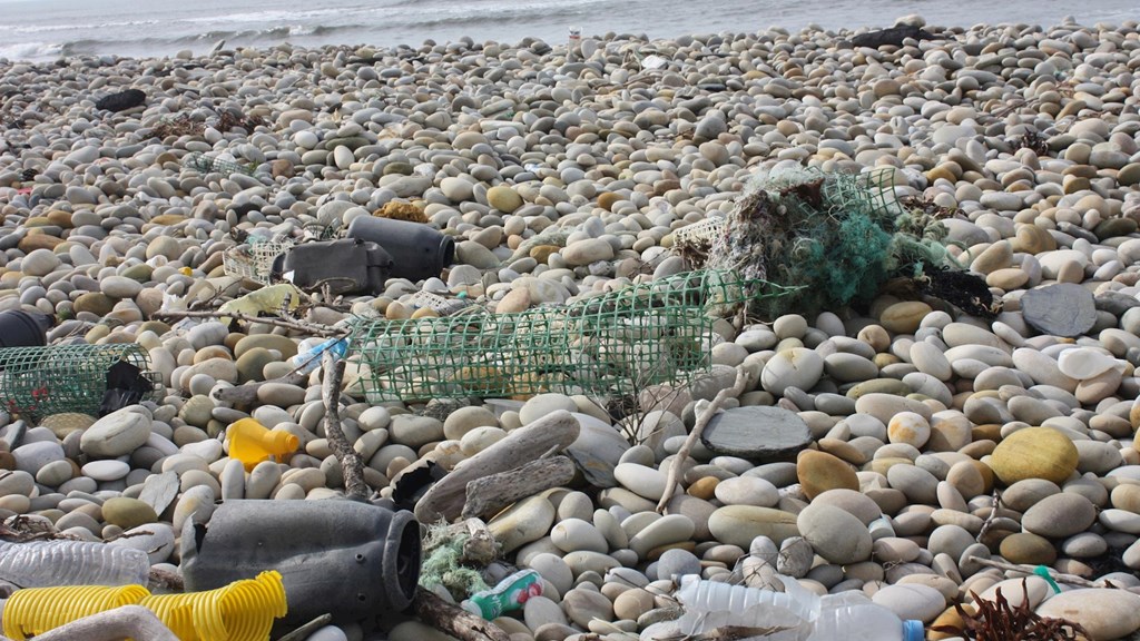 E-Redes Project reduces marine litter on land and at sea