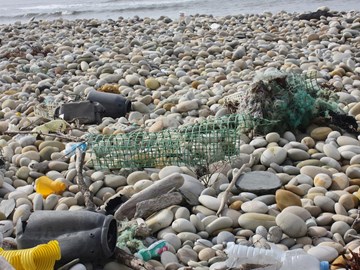 Projeto E-Redes combate lixo marinho em terra e no mar
