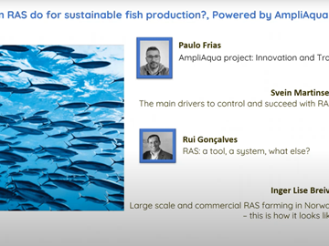 What can Recirculating Aquaculture Systems do for sustainable fish production?