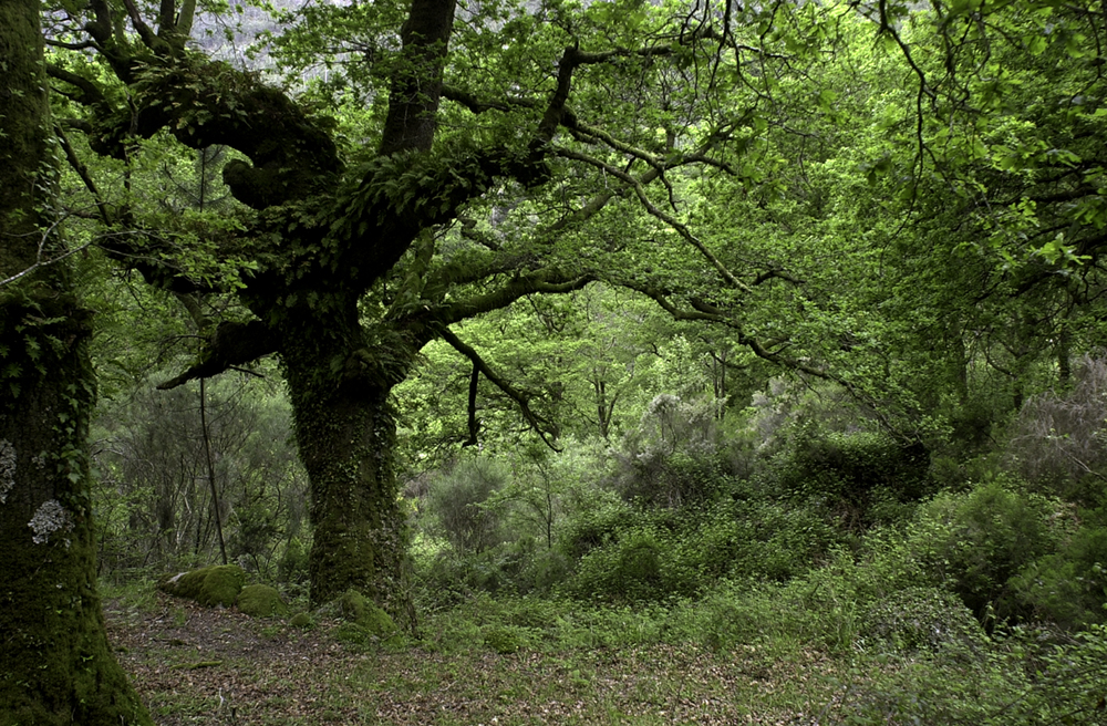 RBT Gerês-Xurês.jpg