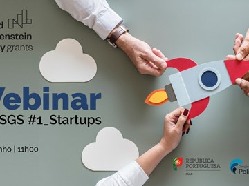 Webinar "Support for initiatives that promote the growth of Startups 