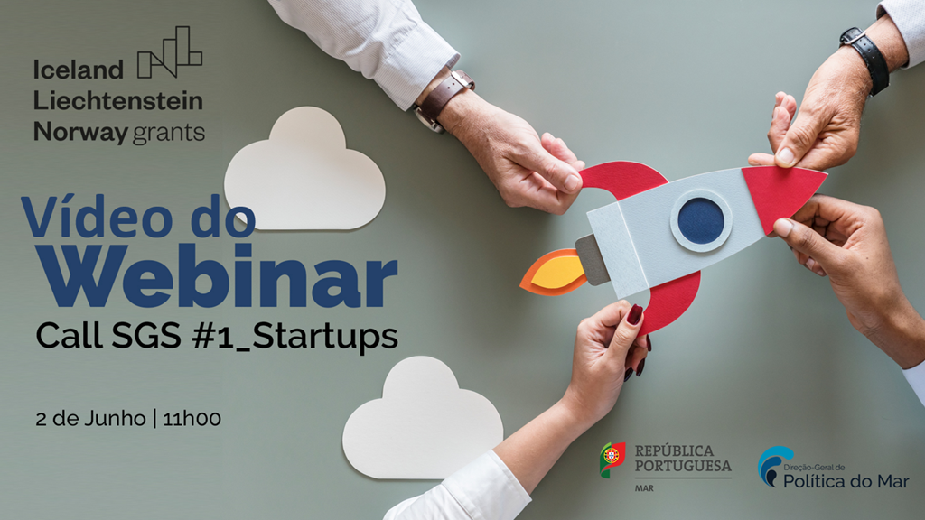 Video of the webinar: Support for initiatives that promote the growth of Startups