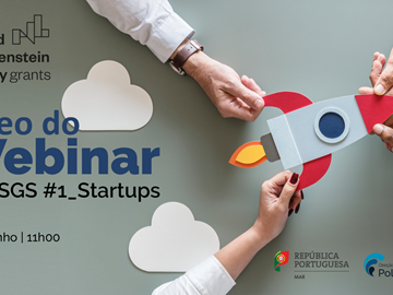 Video of the webinar: Support for initiatives that promote the growth of Startups 