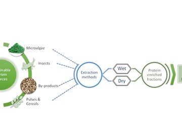 Fontes de proteína alternativas no desenvolvimento de novos produtos alimentares