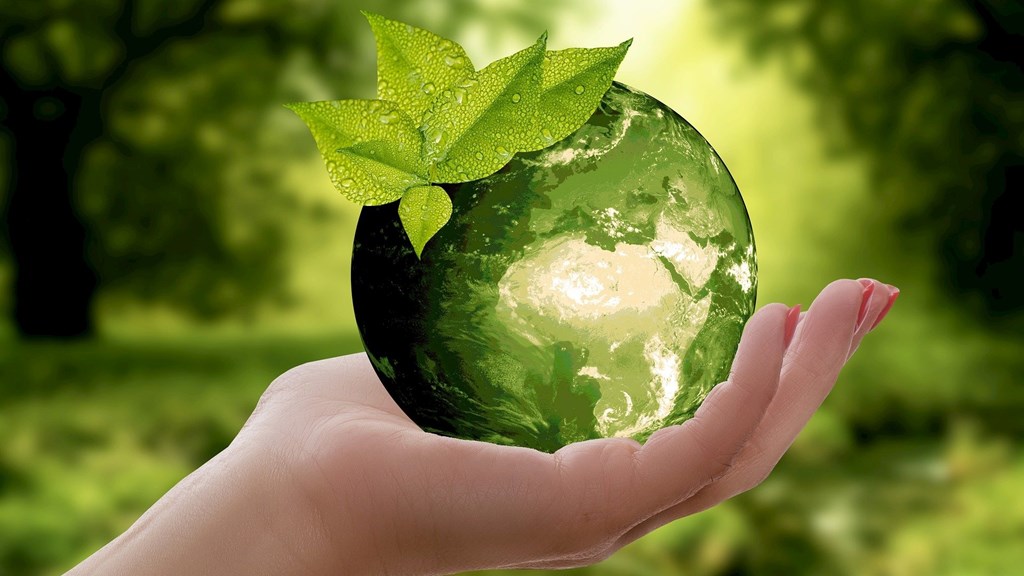 Projetos do Programa Ambiente que marcam a diferença no Dia Global da Reciclagem