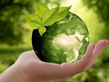 Projetos do Programa Ambiente que marcam a diferença no Dia Global da Reciclagem