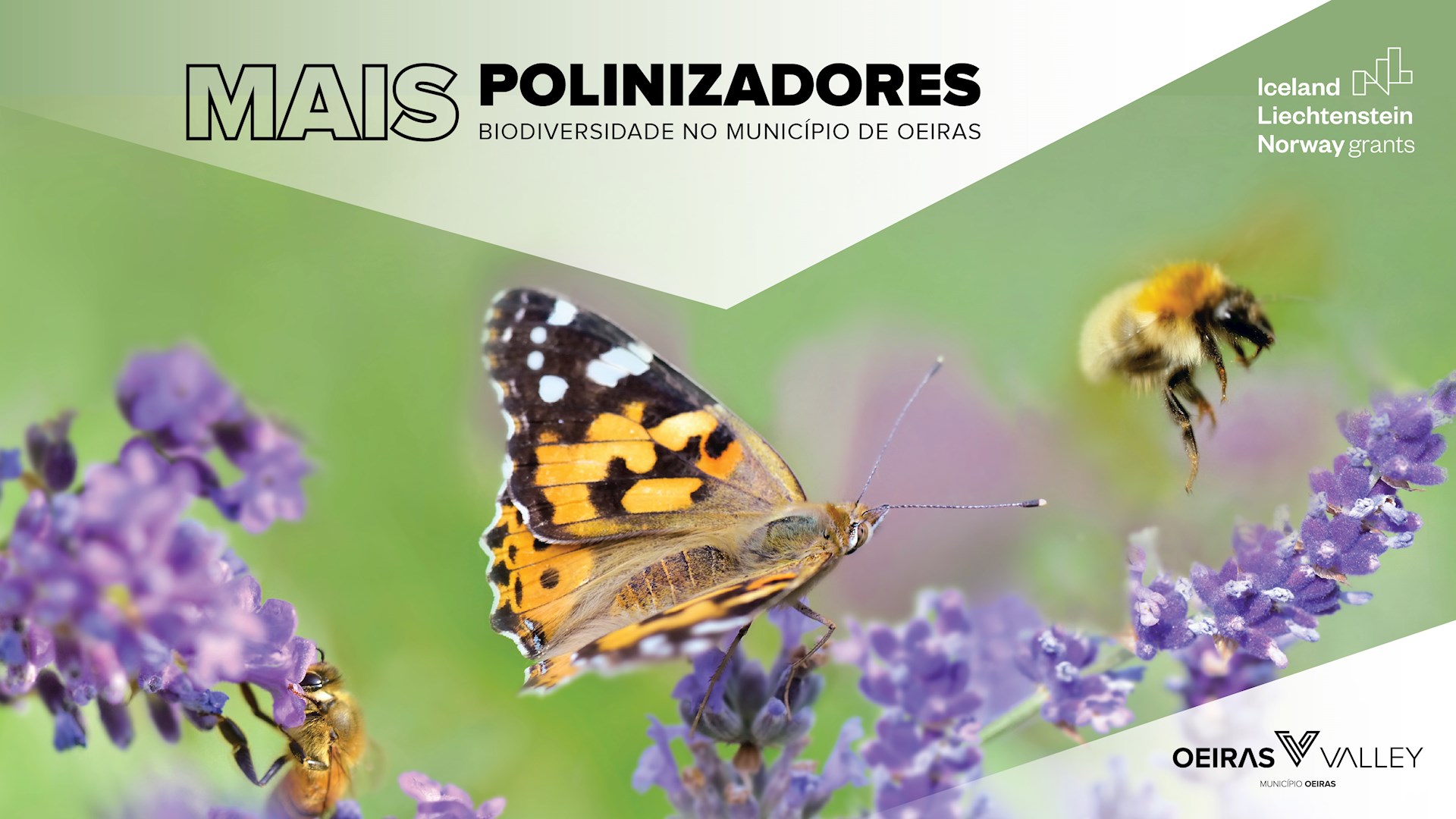 Mais Polinizadores, Mais Biodiversidade no Município de Oeiras