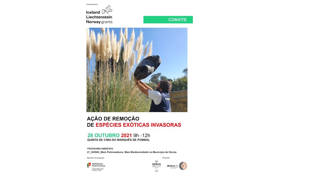 Removal of invasive exotic species - Oeiras