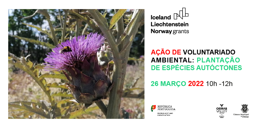 Planting of indigenous species within the scope of the Project "Mais Polinizadores, Mais Biodiversidade no Município de Oeiras"