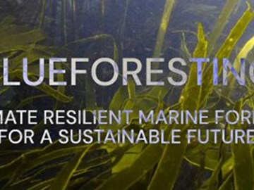 Blueforesting project official Kick Off Event