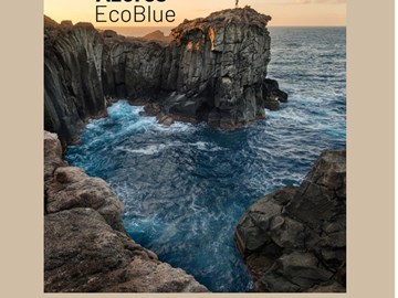 Apresentação do projeto Azores EcoBlue