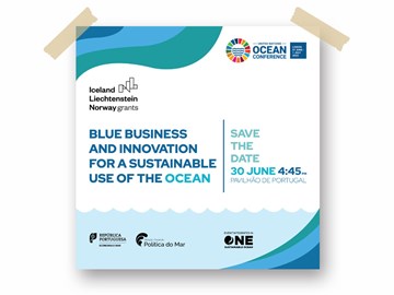 Blue Business and Innovation for a Sustainable Use of the Ocean 