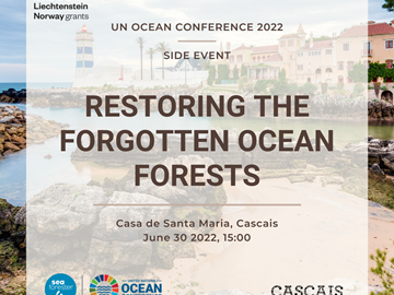 Restoring the Forgotten Ocean Forests