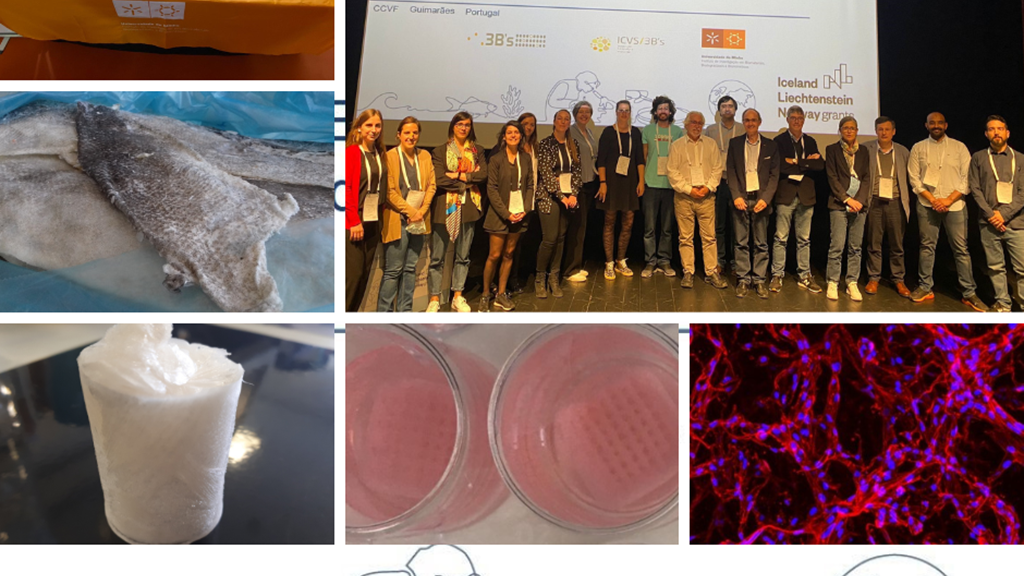 MICSeaOnMed initiative: Research and technological development brings together Portugal and Iceland in the valorization of fish by-products for the health sector