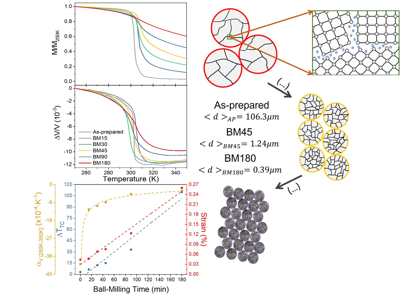 Check out the two scientific papers recently published under the IFI-IFE initiative