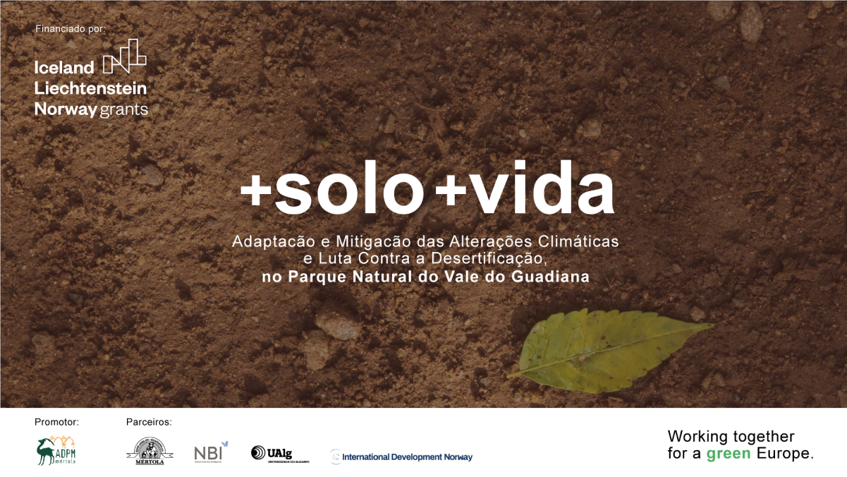 Course "Water and Soil Management - Best Practices for the Conservation of Water Lines and Erosion Control