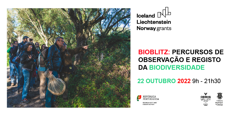 Bioblitz: Journeys of observation and recording of Biodiversity