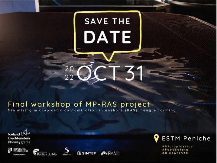 MP-RAS Final Workshop