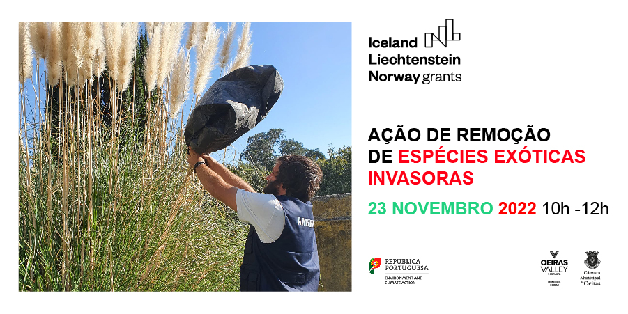 Environmental Volunteer Action