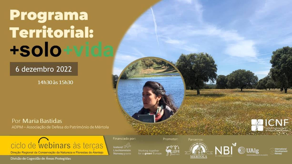 Webinar "Territorial Program: +SOLO + VIDA"