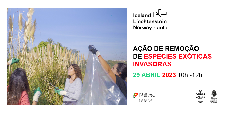 Action for the removal of invasive alien species