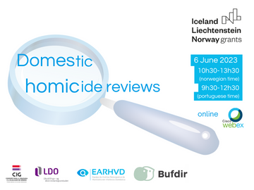 Domestic Homicide Reviews" Webinar