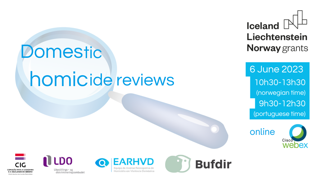 Webinar “Domestic Homicide Reviews”