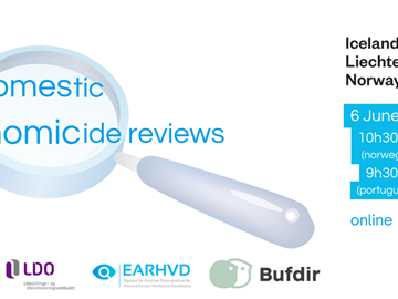 Webinar “Domestic Homicide Reviews”