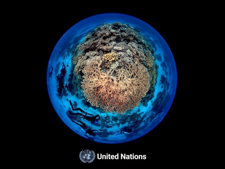 GlobOcean Project Presentation