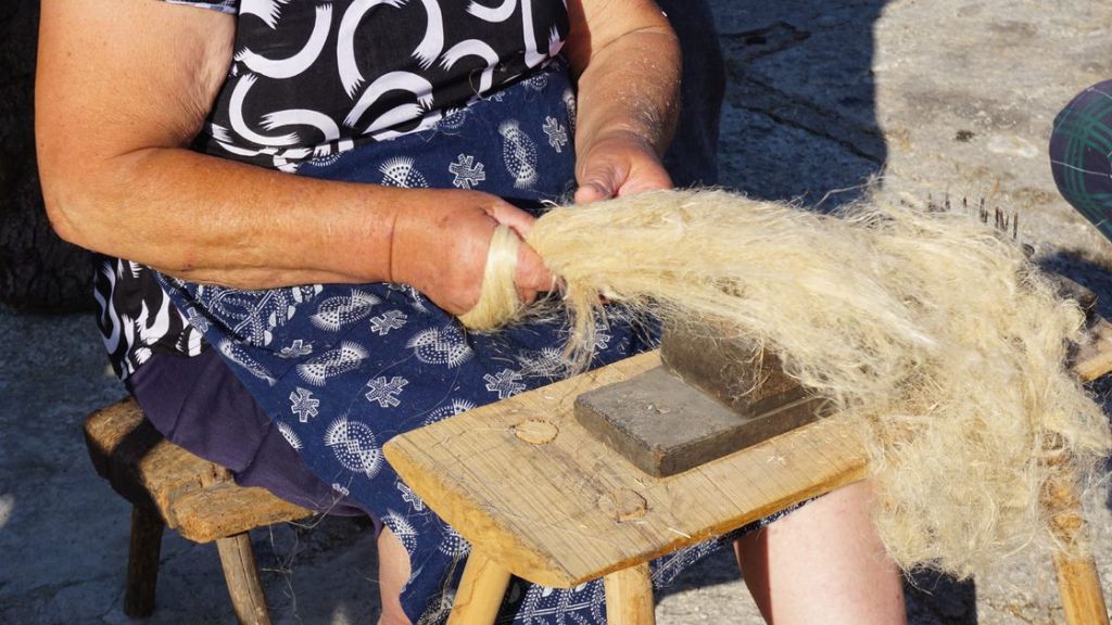 Escola de Verão de Agroecologia e Sistemas Alimentares Sustentáveis