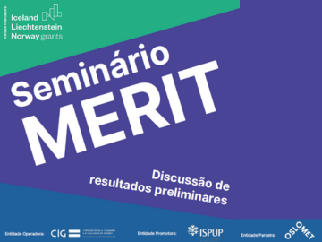 MERIT project's Intermediate Seminar presents initial outcomes of four ongoing studies